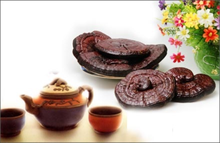 VÌ SAO NẤM LINH CHI LẠI CÓ NHỮNG MÀU KHÁC NHAU?
