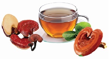 Uống cao hồng sâm, nước sâm Hàn Quốc có tốt không?