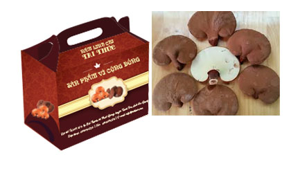 Nấm Linh Chi Thoại Sơn nguyên tai 500g