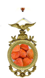 Sâm yến thịnh phát
