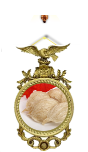 Sâm yến thịnh phát