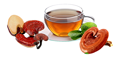Sâm yến thịnh phát